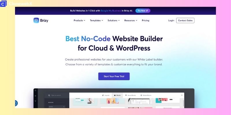 5-clone-website-best-page-builder-wordpress-clonewebx-brizy